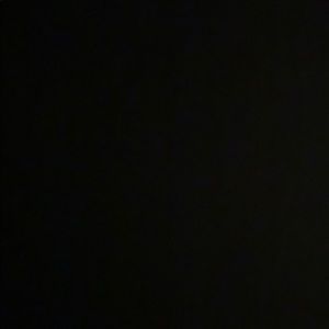 Meet your Posher, Ella